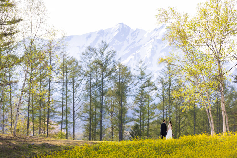 北アルプスと菜の花の美しい景色の中に佇む新郎新婦