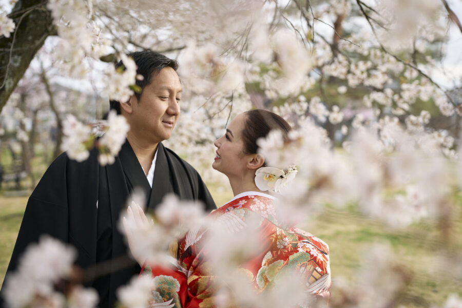 桜と和装のウェデュングフォト